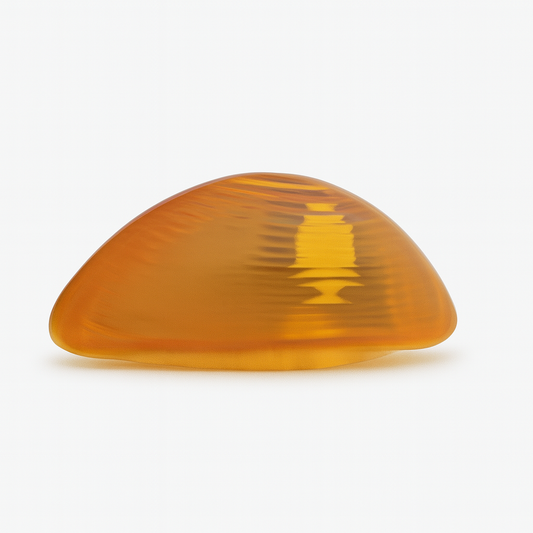 Driver Side Turn Signal