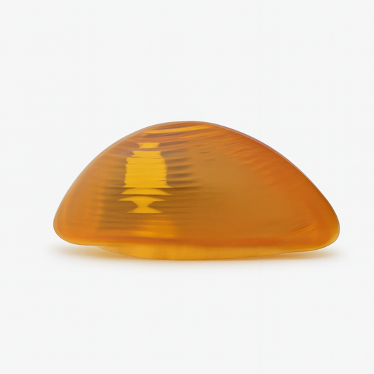 Passenger Side Turn Signal